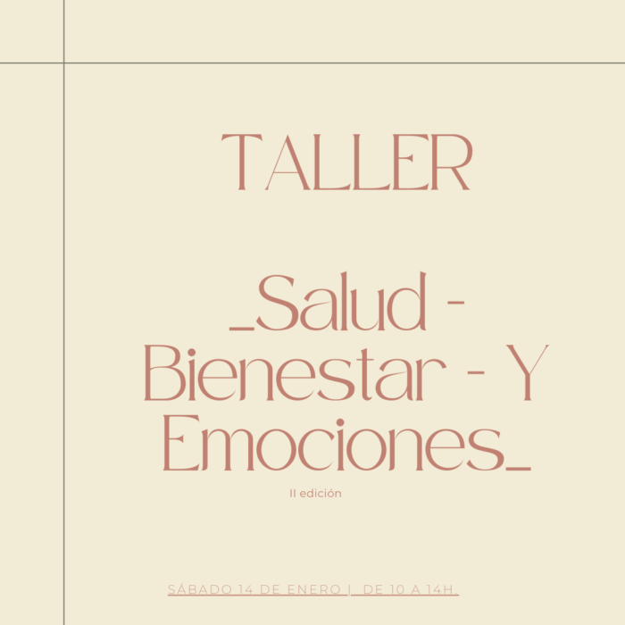 220308_Plantillas IG-4